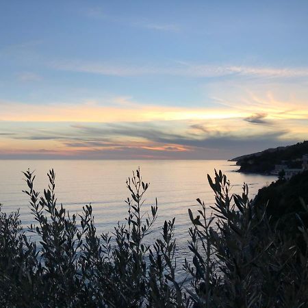 Villa Martina Mare Casal Velino Eksteriør billede