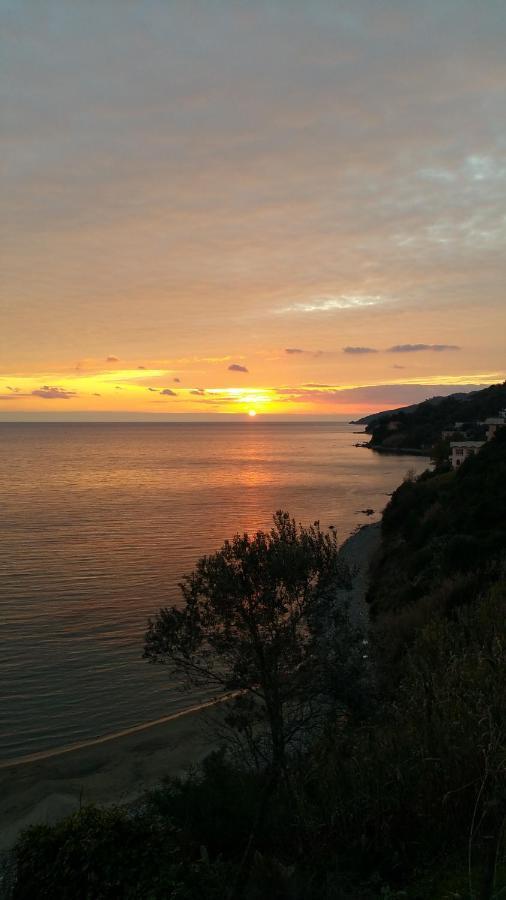 Villa Martina Mare Casal Velino Eksteriør billede