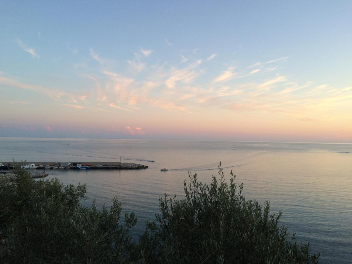 Villa Martina Mare Casal Velino Eksteriør billede