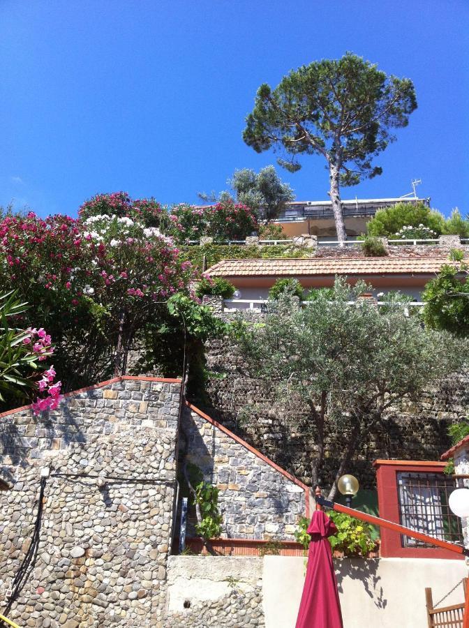 Villa Martina Mare Casal Velino Eksteriør billede