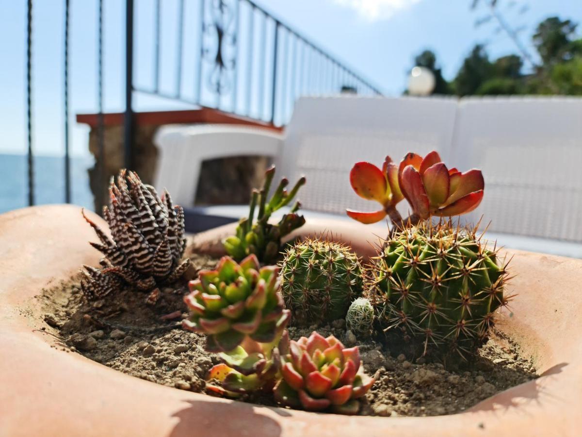 Villa Martina Mare Casal Velino Eksteriør billede